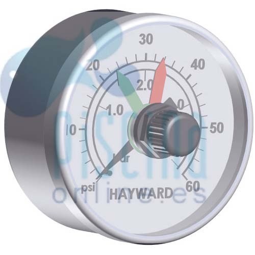 Manómetro Hayward